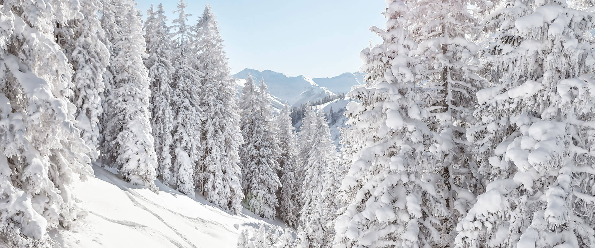 Ski hire Saalbach hervisrent.at